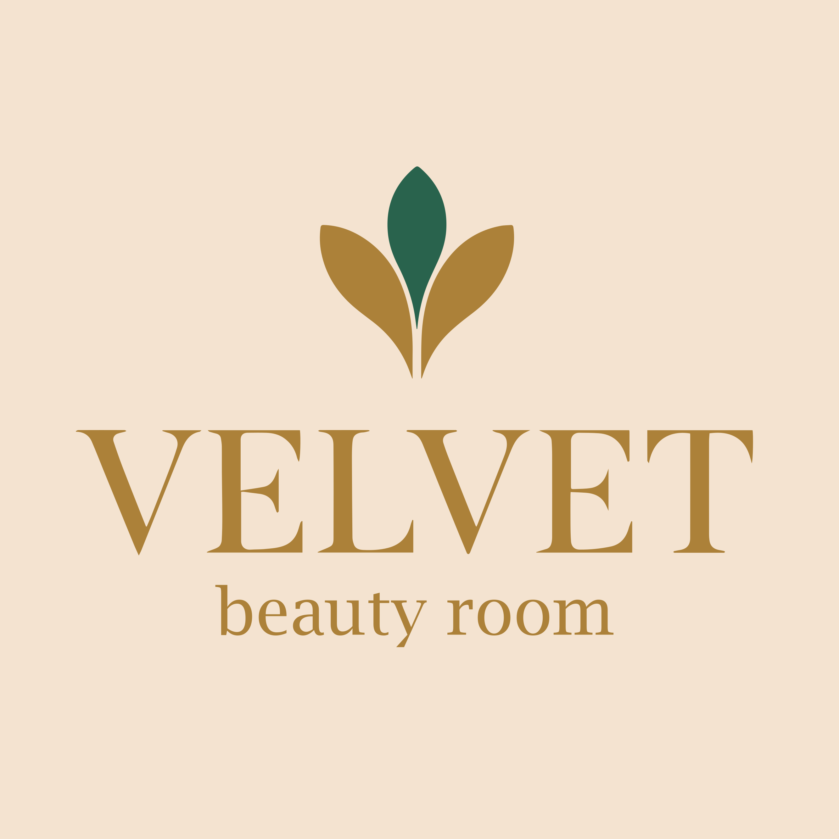 VELVET Beauty Room Logo
